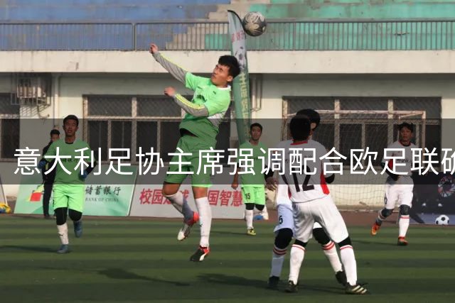 意大利足协主席强调配合欧足联确保欧洲杯成功