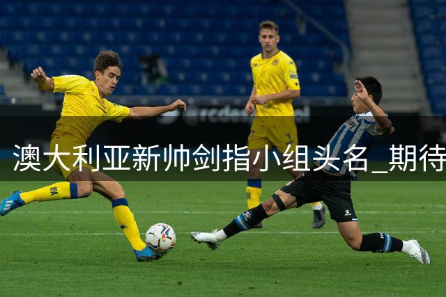 澳大利亚新帅剑指小组头名 期待与中国队一役提振士气