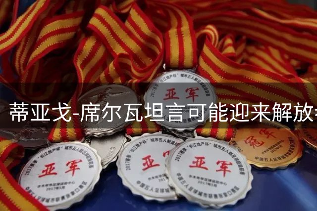 蒂亚戈-席尔瓦坦言可能迎来解放者杯告别战