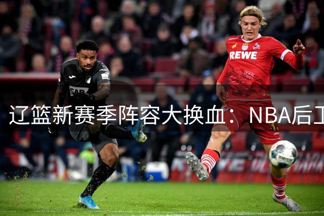 辽篮新赛季阵容大换血：NBA后卫加盟 本土后卫返乡效力